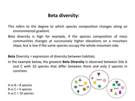 What is the Beta.
